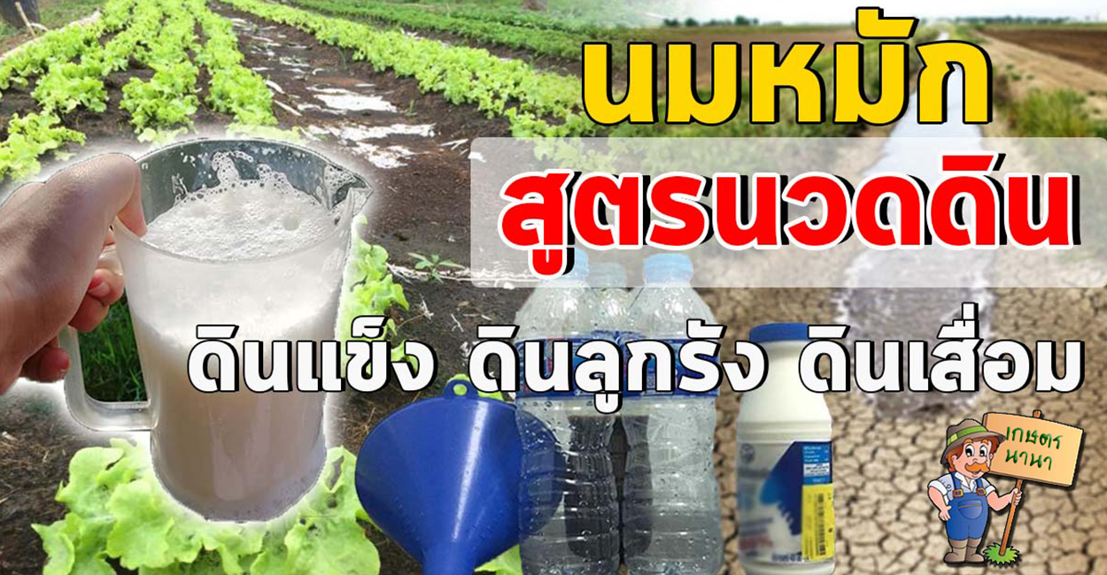 เกษตร นานา Kaset NaNa สูตรน้ำหมักปรับสภาพดิน ช่วยให้พืชดูดซับสารอาหารได้ดีขึ้น