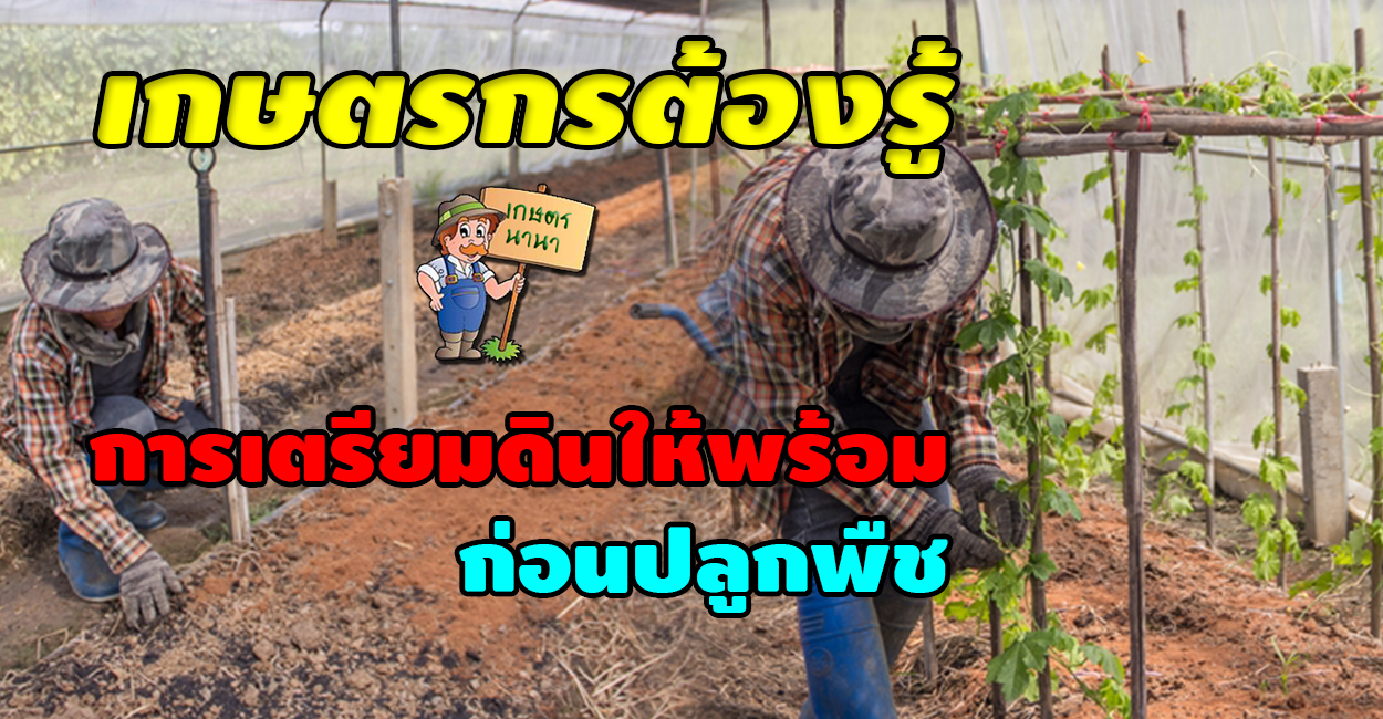 เกษตร นานา Kaset NaNa เกษตรกรต้องรู้ การเตรียมดินให้พร้อม ก่อนปลูกพืช