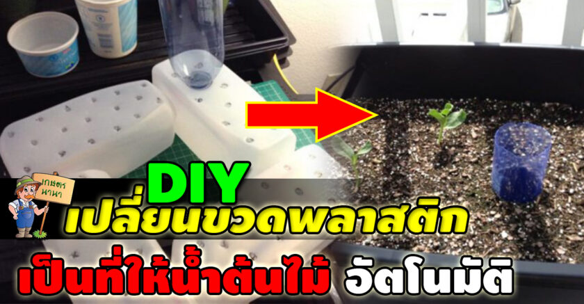 Kaset NaNa เกษตร นานา DIY เปลี่ยนขวดพลาสติก ให้กลายเป็นระบบให้น้ำต้นไม้อัตโนมัติ