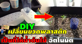 DIY เปลี่ยนขวดพลาสติก ให้กลายเป็นระบบให้น้ำต้นไม้อัตโนมัติ