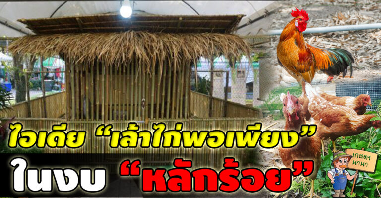 ไอเดีย “เล้าไก่แบบพอเพียง” ลดต้นทุนการก่อสร้าง จบในงบ “หลักร้อย”