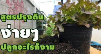 (คลิป) สูตรปรุงดินง่ายๆ ปลูกอะไรก็งาม