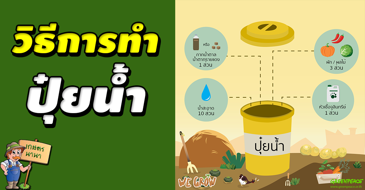 kaset nana เกษตร นานา วิธีการทำปุ๋ยน้ำ