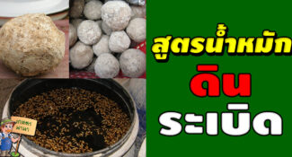 สูตรน้ำหมักดินระเบิด