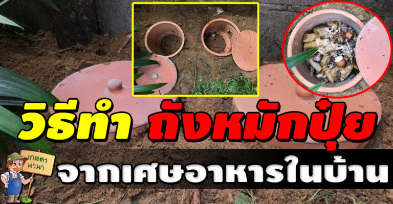 วิธีทำ “ถังปุ๋ยหมัก เศษอาหาร” ใช้เองในครัวเรือน