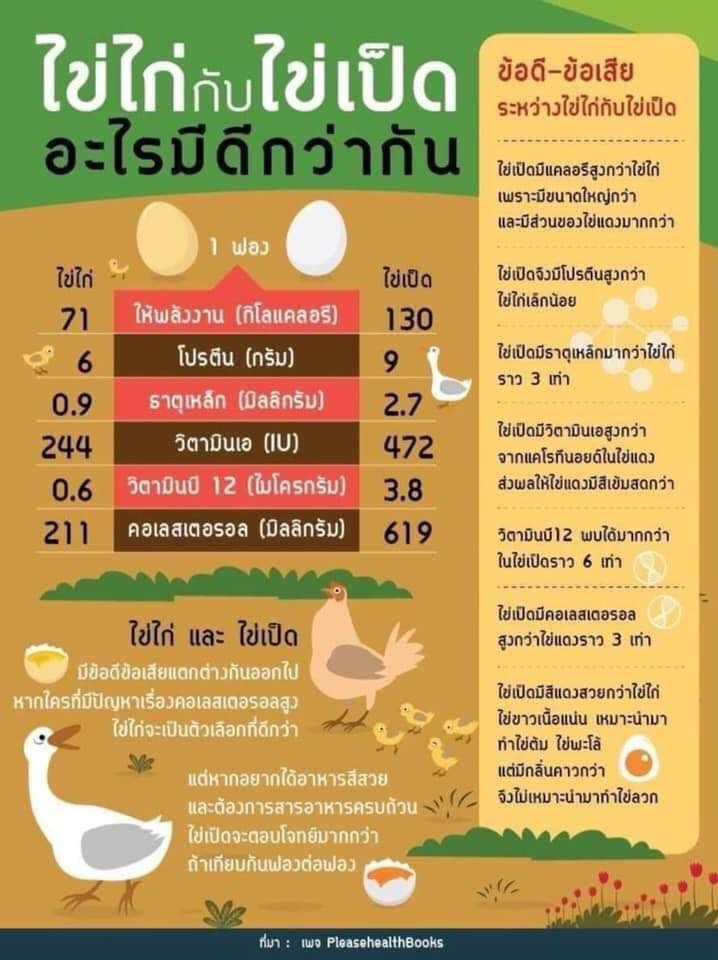 ไข่ไก่ ประโยชน์