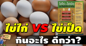 ระหว่าง ไข่ไก่ กับ ไข่เป็ด อะไรมีดีกว่ากัน กินไข่อะไรดีกว่า