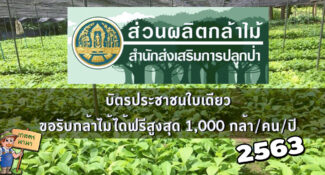 รวมข้อมูล และ 115 สถานที่รับ ‘กล้าไม้ฟรี’ ทั่วประเทศ จากกรมป่าไม้ ปี 2563