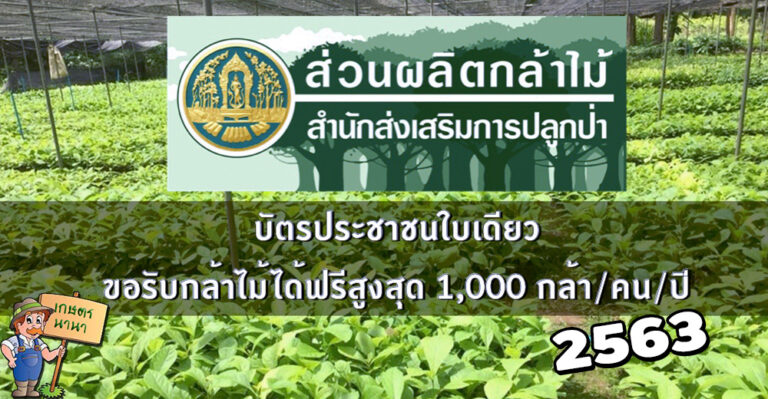 รวมข้อมูล และ 115 สถานที่รับ ‘กล้าไม้ฟรี’ ทั่วประเทศ จากกรมป่าไม้ ปี 2563