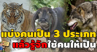 “หลักการเลือกใช้คน 3 ประเภท” ที่ผู้นำต้องเข้าใจ และใช้ให้เป็น..!!