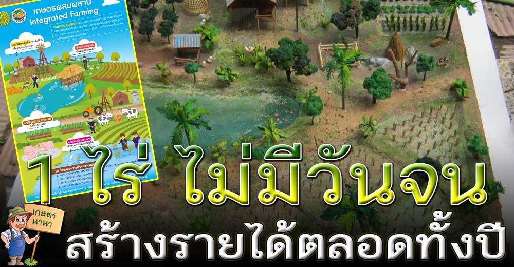 ถ้าจัดสรรพื้นที่ให้ถูกต้อง ที่ดิน 1 ไร่ ก็สามารถสร้างรายได้ตลอดปีได้ ด้วย ‘เกษตรผสมผสาน’