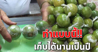 แชร์เก็บไว้ เก็บมะนาวให้อยู่ได้นานข้ามปี สดเหมือนใหม่