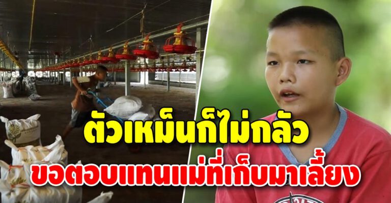 เด็กกตัญญู “น้องเบนซ์” เด็กชายวัย 12 รับจ้างแบกกระสอบขี้ไก่ หาเงินช่วยแม่