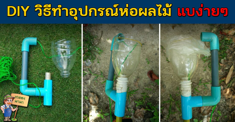 DIY วิธีทำไม้ห่อผลไม้ ด้วยอุปกรณ์ที่ทำได้ง่ายมาก