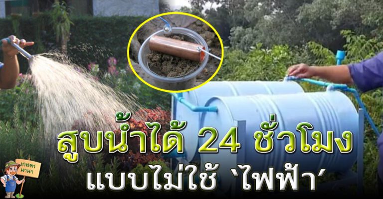 ภูมิปัญญาชาวบ้าน ‘พญาแร้งให้น้ำ’ สูบน้ำได้ 24 ชั่วโมง โดยไม่ใช้ไฟฟ้า