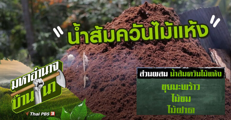 วิธีทำน้ำส้มควันไม้แห้ง – สูตรลับฉบับบ้านนา (มีคลิป)