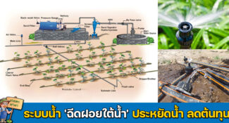 เทคนิคการทำระบบน้ำ ‘ฉีดฝอยใต้น้ำ’ ประหยัดน้ำ ลดต้นทุนการทำเกษตร