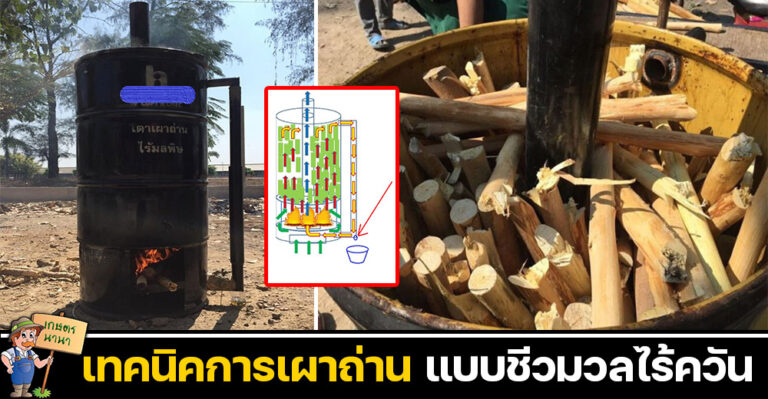 เทคนิคการเผาถ่าน แบบชีวมวลไร้ควัน