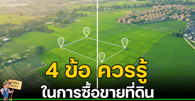 4 ข้อควรรู้ ช่วยประหยัดเวลาในการซื้อขายที่ดิน