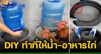 DIY ไอเดียการทำที่ให้อาหาร ให้น้ำไก่ จากยางรถมอเตอร์ไซต์