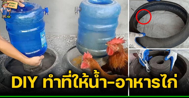 DIY ไอเดียการทำที่ให้อาหาร ให้น้ำไก่ จากยางรถมอเตอร์ไซต์