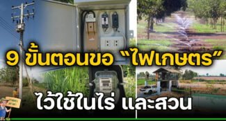 วิธีการขอ “ไฟฟ้า” ลงพื้นที่เกษตรกรรม สำหรับใช้ในสวน และไร่นา (มีคลิป)