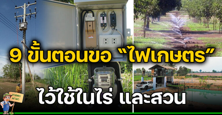 วิธีการขอ “ไฟฟ้า” ลงพื้นที่เกษตรกรรม สำหรับใช้ในสวน และไร่นา (มีคลิป)