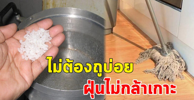 Howto วิธีถูพื้นให้สะอาด ฝุ่นไม่เกาะ ไม่ต้องถูบ่อย