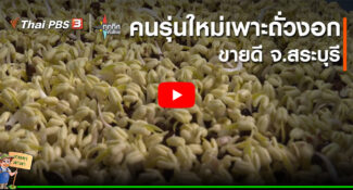 คลิป – คนรุ่นใหม่เพาะถั่วงอกขายดี จ.สระบุรี​ : อาชีพทั่วไทย