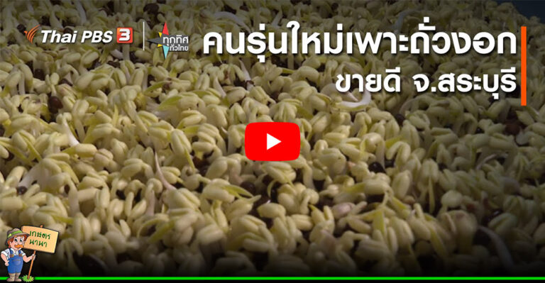 คลิป – คนรุ่นใหม่เพาะถั่วงอกขายดี จ.สระบุรี​ : อาชีพทั่วไทย