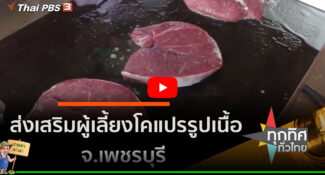 คลิป – ส่งเสริมผู้เลี้ยงโคแปรรูปเนื้อ จ.เพชรบุรี : อาชีพทั่วไทย