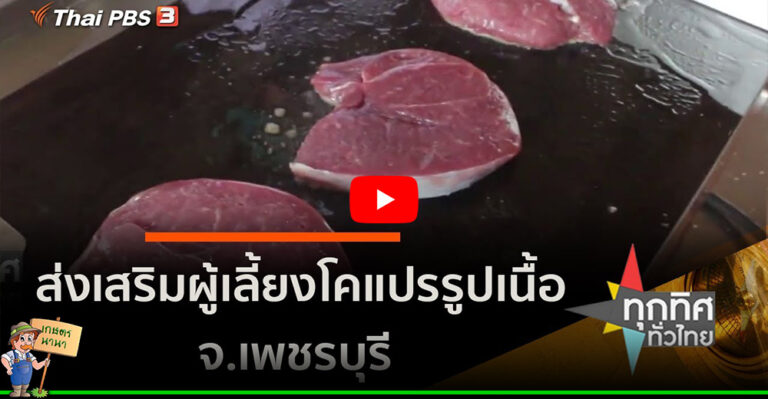 คลิป – ส่งเสริมผู้เลี้ยงโคแปรรูปเนื้อ จ.เพชรบุรี : อาชีพทั่วไทย