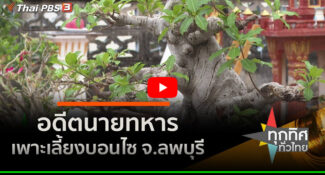 คลิป – อดีตนายทหารเพาะเลี้ยงบอนไซ จ.ลพบุรี : อาชีพทั่วไทย