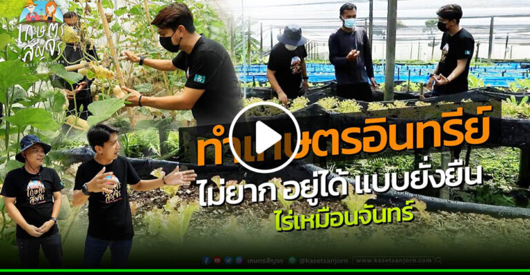 คลิป ทำเกษตรอินทรีย์ไม่ยาก อยู่ได้ แบบยั่งยืน ไร่เหมือนจันทร์ – เกษตรสัญจร