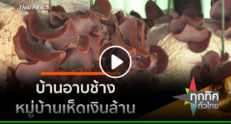 คลิป – บ้านอาบช้าง หมู่บ้านเห็ดเงินล้าน จ.หนองบัวลำภู : อาชีพทั่วไทย