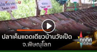 คลิป – ปลาเค็มแดดเดียวบ้านวังเป็ด จ.พิษณุโลก อาชีพทั่วไทย