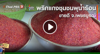 คลิป – พริกแกงชุมชนพุน้ำร้อนขายดี จ.เพชรบูรณ์ : อาชีพทั่วไทย