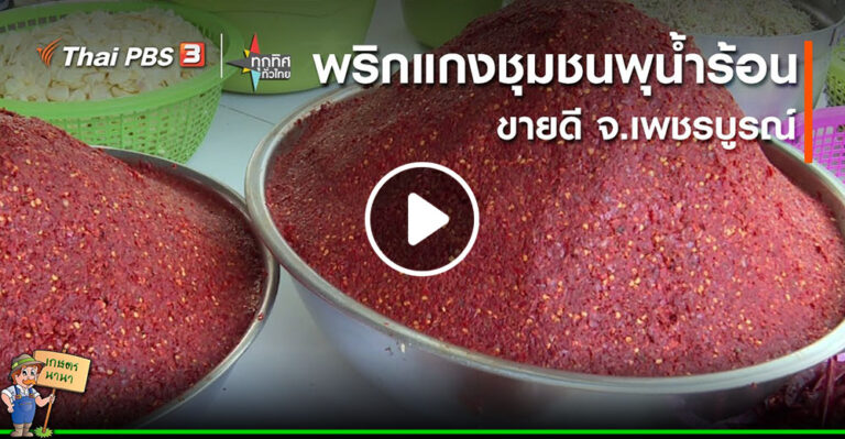 คลิป – พริกแกงชุมชนพุน้ำร้อนขายดี จ.เพชรบูรณ์ : อาชีพทั่วไทย