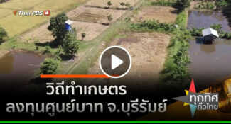 คลิป วิถีทำเกษตรลงทุนศูนย์บาท จ.บุรีรัมย์ อาชีพทั่วไทย