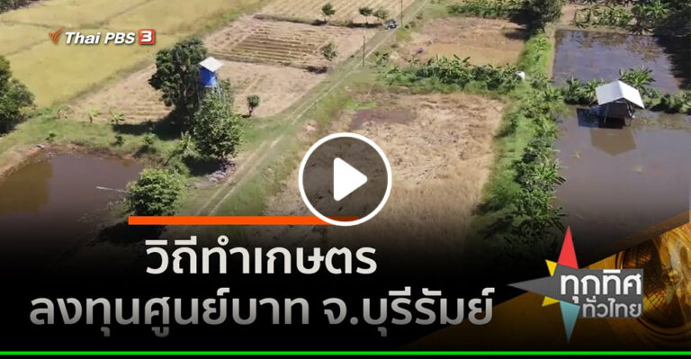 คลิป วิถีทำเกษตรลงทุนศูนย์บาท จ.บุรีรัมย์ อาชีพทั่วไทย