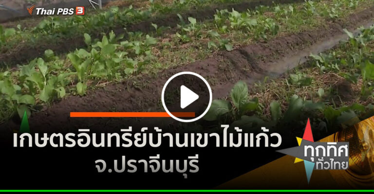 คลิป – เกษตรอินทรีย์บ้านเขาไม้แก้ว จ.ปราจีนบุรี : อาชีพทั่วไทย