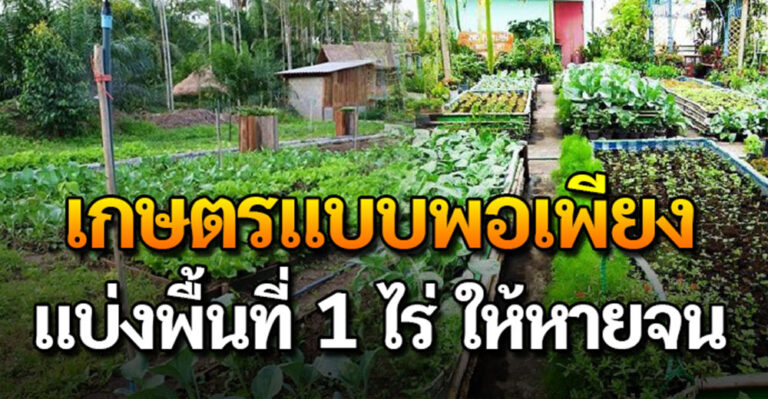 คลิป – 1 ไร่ หายจน แนวทางทำเกษตรผสมผสาน แบบพอเพียง