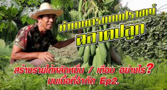 คลิป – สร้างรายได้หลักหมื่นต่อเดือนอย่างไร บนพื้นที่จำกัด