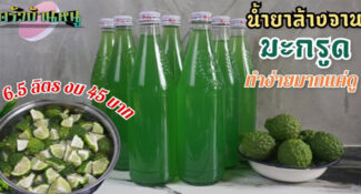 คลิป-วิธีทำน้ำยาล้างจาน ด้วยมะกรูด ทำง่าย ด้วยงบ 45 บาท มะกรูดแปรรูป