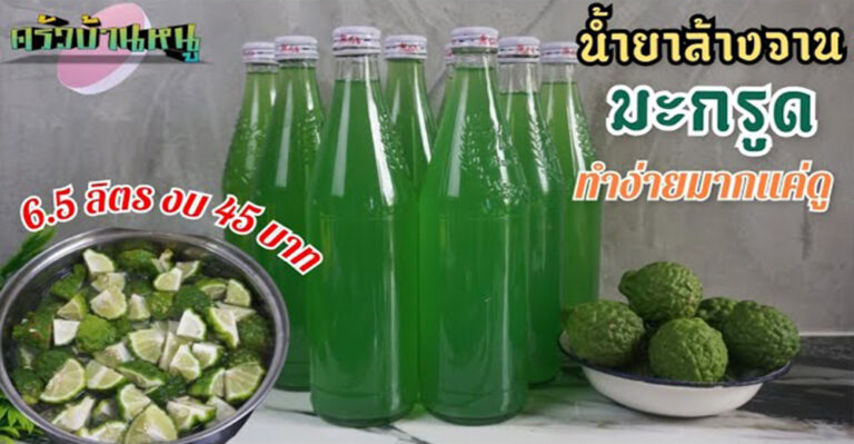 คลิป-วิธีทำน้ำยาล้างจาน ด้วยมะกรูด ทำง่าย ด้วยงบ 45 บาท มะกรูดแปรรูป