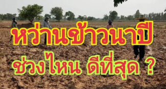 คลิป – หว่านข้าวนาปี ช่วงเดือนไหนดี ? ที่นี่..มีคำตอบ