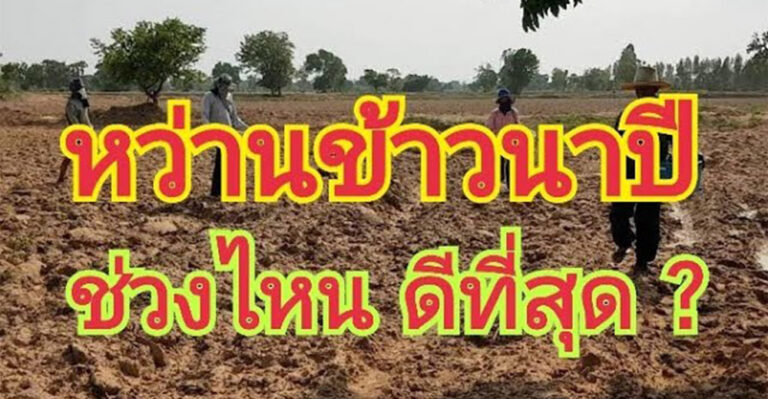 คลิป – หว่านข้าวนาปี ช่วงเดือนไหนดี ? ที่นี่..มีคำตอบ