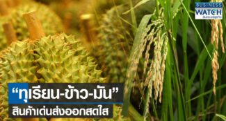 คลิป-“ทุเรียน-ข้าว-มัน” สินค้าเด่นส่งออกสดใส
