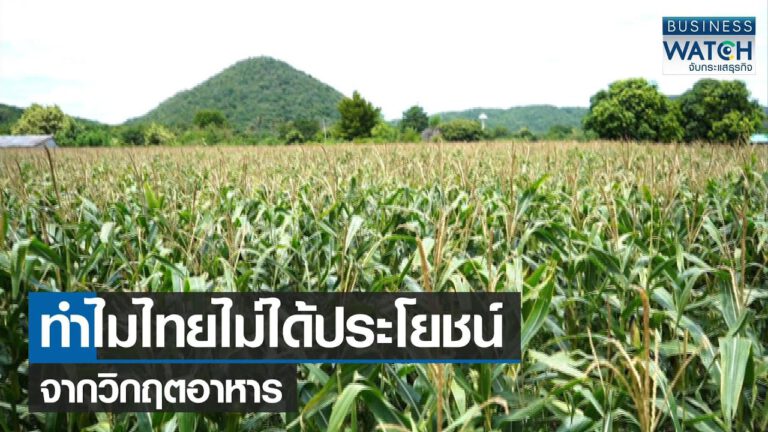คลิป-ทำไมไทยไม่ได้ประโยชน์จากวิกฤตอาหาร