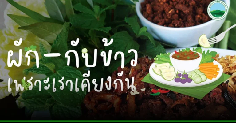 น่าปลูกไว้ที่บ้าน ‘ผัก-กับข้าว’ เพราะเราเคียงกัน